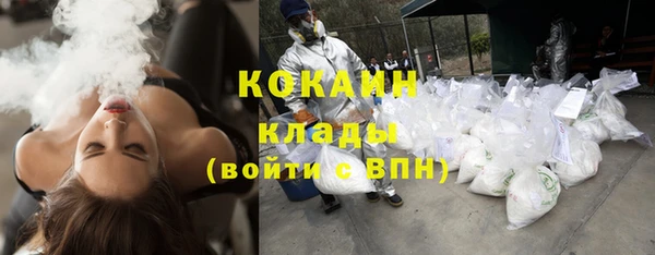 индика Вязники