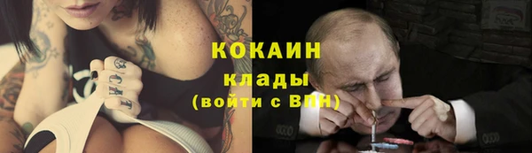 индика Вязники