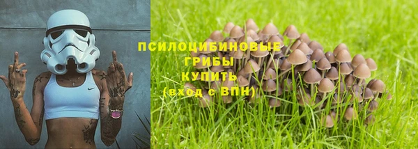 индика Вязники