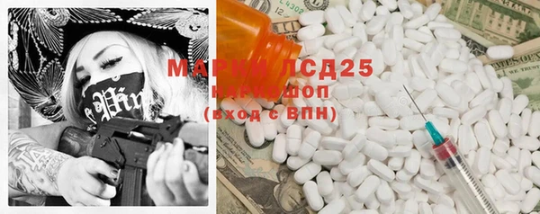 индика Вязники