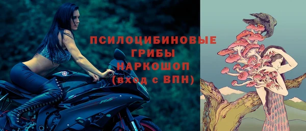 а пвп мука Вяземский