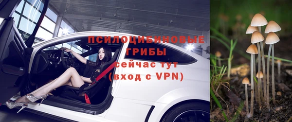 соль ск Козловка