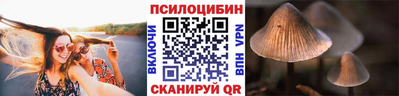 Псилоцибиновые грибы Psilocybe  Злынка 